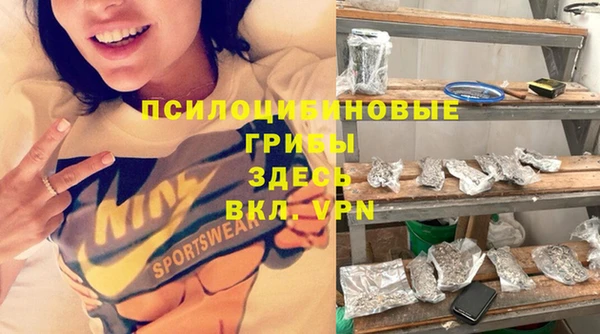 2c-b Пересвет