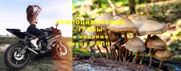 2c-b Пересвет
