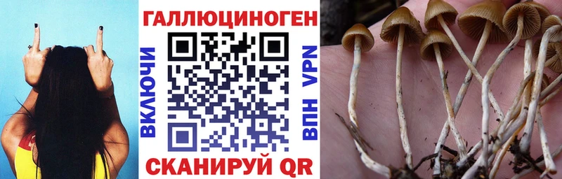 Псилоцибиновые грибы мухоморы  mega маркетплейс  Советский  где найти  