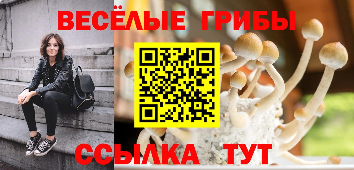 Псилоцибиновые грибы Psilocybine cubensis Советский