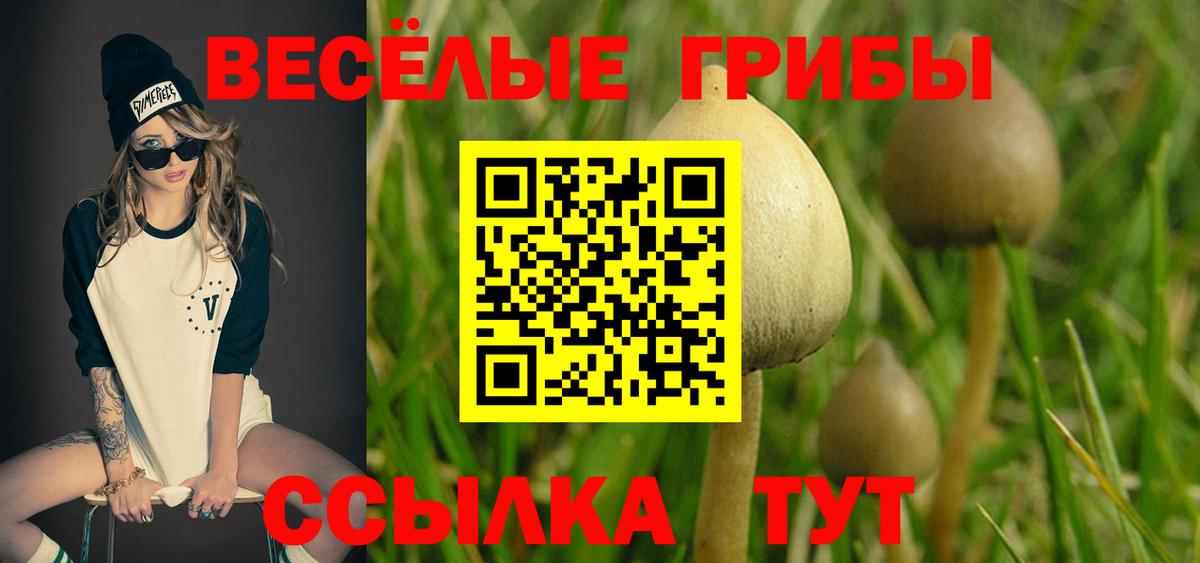 Советский  Псилоцибиновые грибы мухоморы  Вход с VPN 